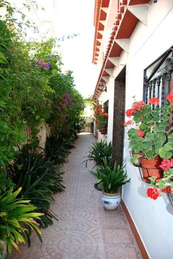 Apartamentos Inter Gandia Playa Ngoại thất bức ảnh